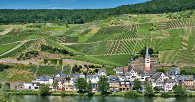 Bourgogne-Franche-Comté, Dijon, Besançon, vineyard, forest, river, mountain, village