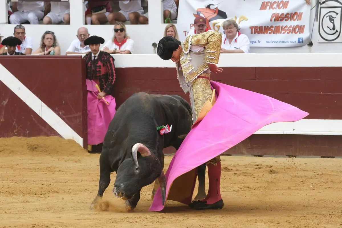 Feria de Dax 2025 : Quintana et Garibay se qualifient pour la finale du concours des novilladas sans picador