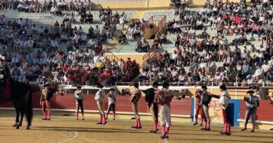 Feria de l'Atlantique à Bayonne : deux toreros blessés en piste lors d'une corrida à fortes émotions - ici