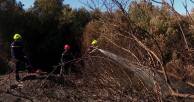Feu d’Oletta : le maire inquiet des feux à répétition sur sa commune