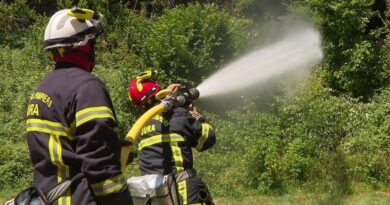 Feu de forêt dans le Jura : les gendarmes lancent un appel à témoins