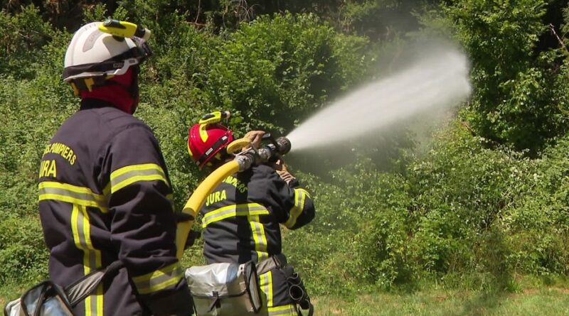 Feu de forêt dans le Jura : les gendarmes lancent un appel à témoins