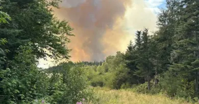 Une épaisse colonne de fumée s'élève dans un ciel jaune au-dessus d'une prairie de hautes herbes et de fleurs mauves.