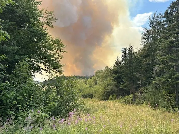 Une épaisse colonne de fumée s'élève dans un ciel jaune au-dessus d'une prairie de hautes herbes et de fleurs mauves.