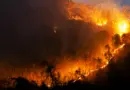 Feux de forêt au Canada – Appel à une vigilance accrue