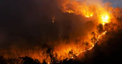 Feux de forêt au Canada – Appel à une vigilance accrue