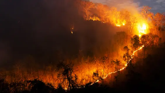 Feux de forêt au Canada – Appel à une vigilance accrue
