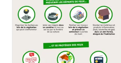 Feux de forêt et de végétation - Site officiel de la Ville d’Évreux