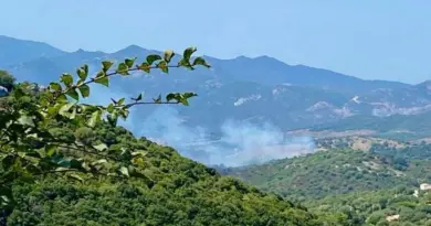 Feux en Haute-Corse. Deux incendies se déclarent presque simultanément, trois hectares partis en fumée