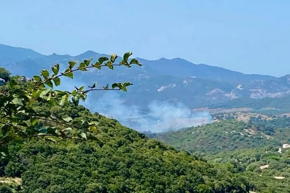 Feux en Haute-Corse. Deux incendies se déclarent presque simultanément, trois hectares partis en fumée
