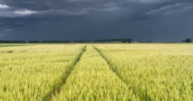 Fin de canicule brutale : la France entre gouttes froides et pluies records - RTBF Actus