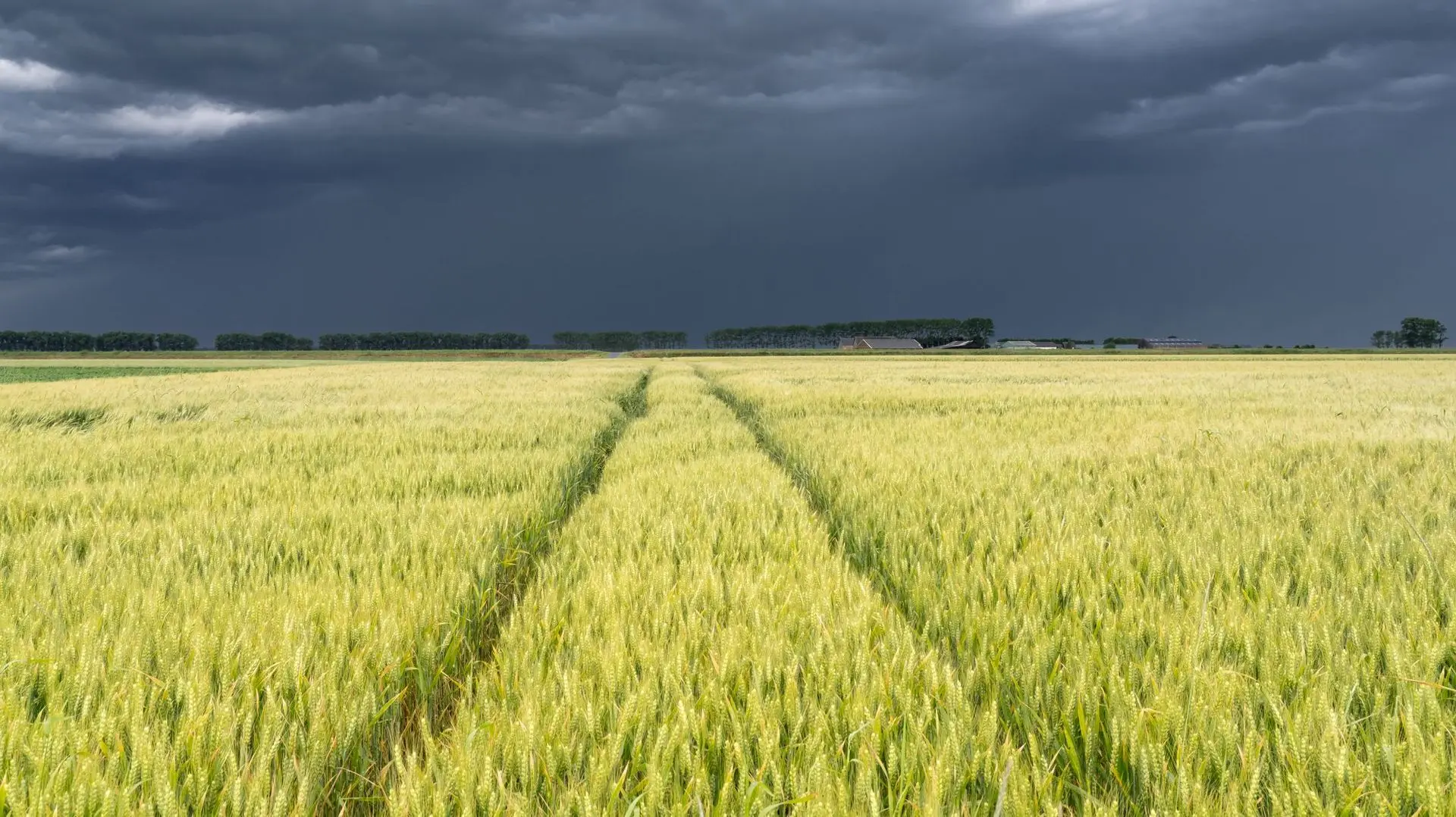Fin de canicule brutale : la France entre gouttes froides et pluies records - RTBF Actus