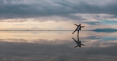 émotions en contexte professionnel
