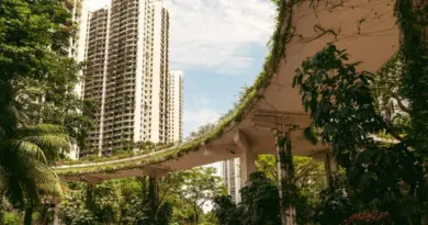 Forest City, cette ville fantôme de Malaisie qui se rêve en paradis fiscal