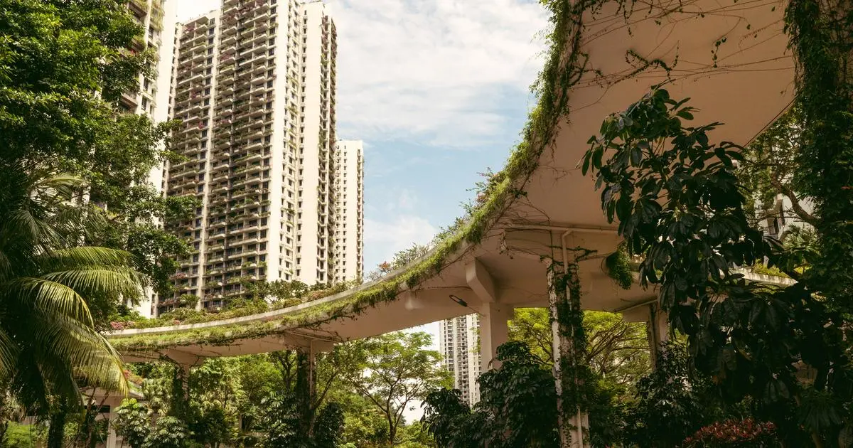 Forest City, cette ville fantôme de Malaisie qui se rêve en paradis fiscal