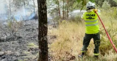 Forêt de Fontainebleau. Drones, agents armés, brigade équestre... Face aux feux, l'ONF met les grands moyens