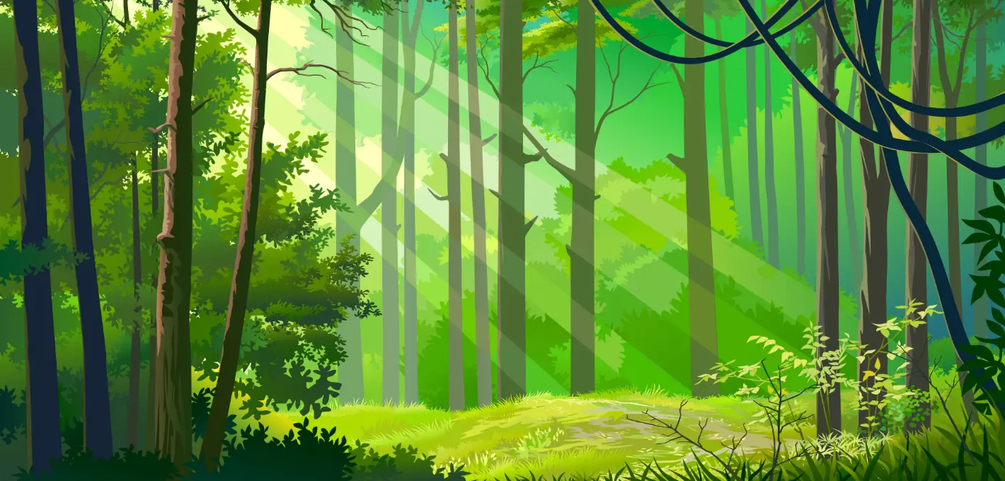Forêts des Landes : comment repousser après les feux ? - Revue Far Ouest