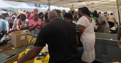 Franc succès pour la 15ème édition du festival du Dachine au Morne-Rouge