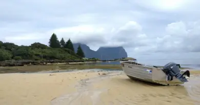 Martinique, Fort-de-France, beach, volcano, palm, rainforest, Creole, boat, island