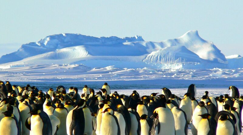 From sea ice to ocean currents, Antarctica is now undergoing abrupt changes—and we'll all feel them