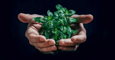 Gaming et écologie : concilier performance et sobriété énergétique pour un futur durable — YubiGeek