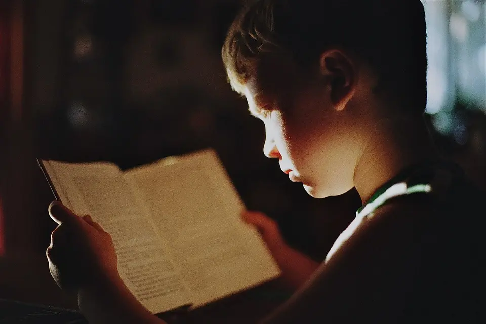 education,school,learning,student,teacher,classroom,university,books,knowledge,study