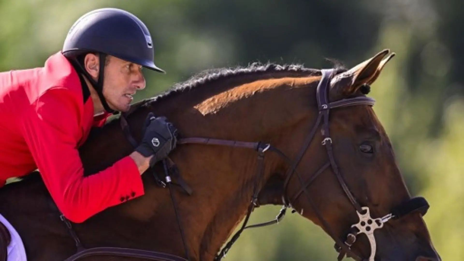 Global Champions Tour : Grégory Wathelet remporte une épreuve qualificative à Londres - RTBF Actus