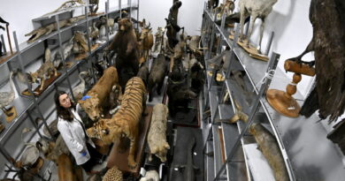 Grand Est. Pavillon de la biodiversité à Metz : sensibiliser à l’extinction de masse en cours