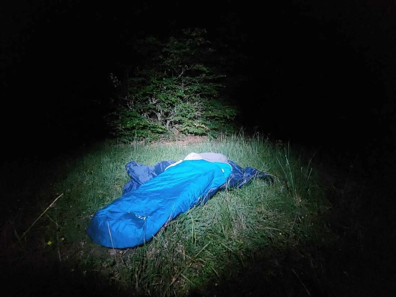 Grand format. J'ai testé pour vous : le bivouac en forêt dans l'Orne, la tête dans les étoiles filantes