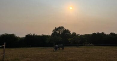 Gris, ocre, orangé. Mais pourquoi le ciel est-il voilé au-dessus de la Normandie en cette