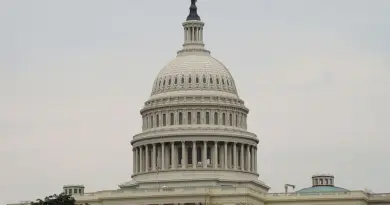 politics, government, parliament, election, voting, democracy, politician, president