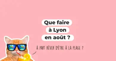 Que faire à Lyon en aout ?