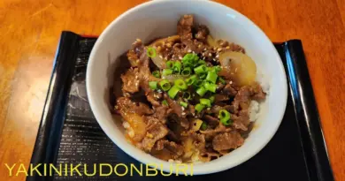 HOW TO COOK JAPANESE YAKINIKU DONBURI