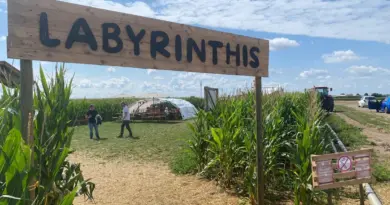 Haut-Rhin : un labyrinthe dans 5 hectares de maïs, pour résoudre des énigmes et découvrir des œuvres d'art - ici