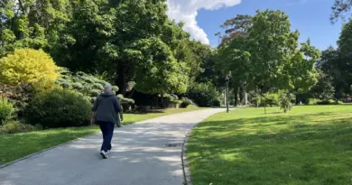 Haute-Saône. Au Jardin anglais de Vesoul, une balade dans la nature en pleine ville