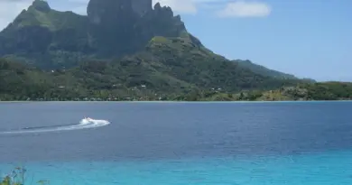 Polynésie française, Tahiti, Bora Bora, lagoon, beach, palm, coral, overwater, island