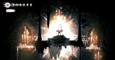 Hollow Knight: Silksong, le prix a fuité !