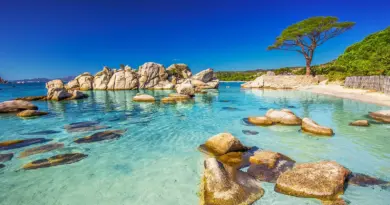 Hôtel en Corse : conseils et astuces pour un voyage inoubliable - Corsica Terroirs - Traversée Corse, ile d'Elbe, Baléares, Sardaigne et Sicile
