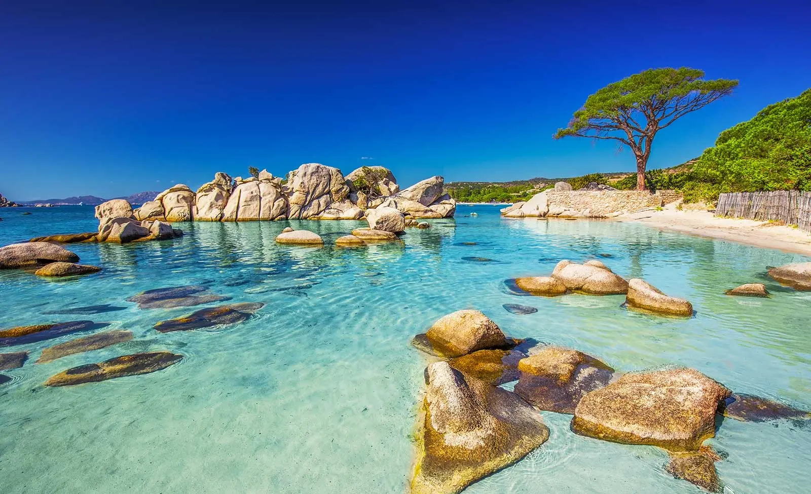 Hôtel en Corse : conseils et astuces pour un voyage inoubliable - Corsica Terroirs - Traversée Corse, ile d'Elbe, Baléares, Sardaigne et Sicile