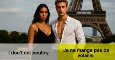 How to Pronounce French I Je ne mange pas de volaille