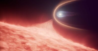 Hubble a fait une découverte qui remet en cause notre connaissance des étoiles naines blanches