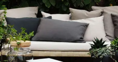 IKEA et l'Écologie : Comment les Valeurs de la Marque S'Alignent avec le Développement Durable - Solidaires du monde