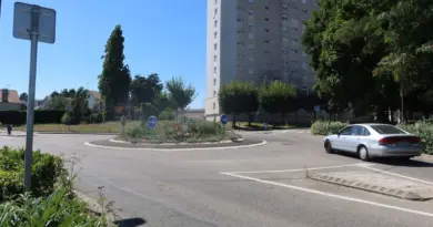 « Il a été arraché des mains de son père » : une marche blanche pour Mamadou, 6 ans, tué par un chauffard ivre