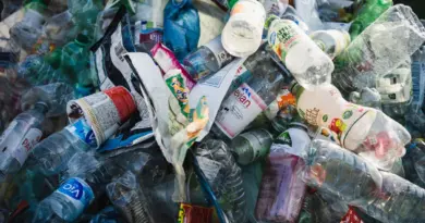 Il n’y aura pas de traité sur la pollution plastique : « Quelques pétro-Etats n’ont cessé de mettre en place des manœuvres dilatoires »