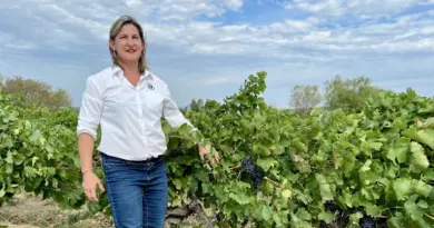 Il y a vingt ans, la prof de sport devenait vigneronne : à Pouzilhac, la belle réussite de Claire Reynes