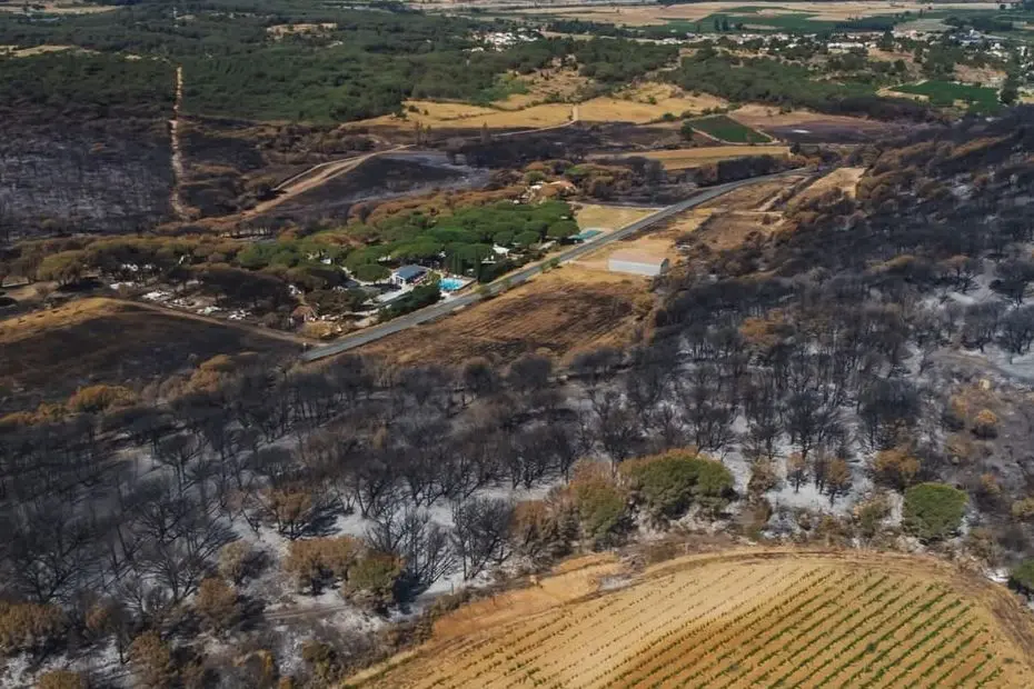 Ils ont changé de vie pour gérer un camping dans l'Aude, malgré les incendies, aucun regret, "c'était un projet de vie"