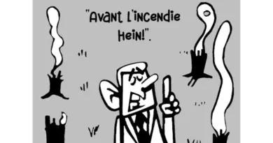 Incendie: La prévention c'est donc le débroussaillage! - Les dessins de CRBR