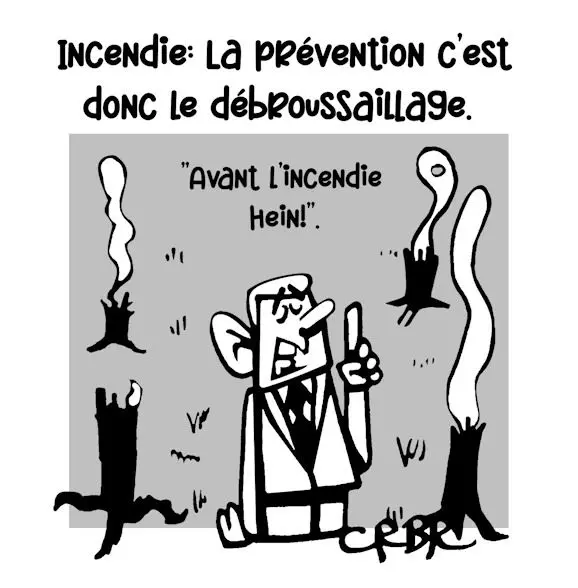 Incendie: La prévention c'est donc le débroussaillage! - Les dessins de CRBR