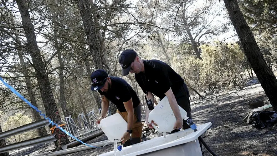Incendie de l’Aude : avec les bénévoles qui tentent de sauver les animaux rescapés
