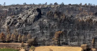 Incendie meurtrier dans l'Aude : le feu "pourrait avoir une cause criminelle résultant d'un acte volontaire", c'est la piste privilégiée par le parquet